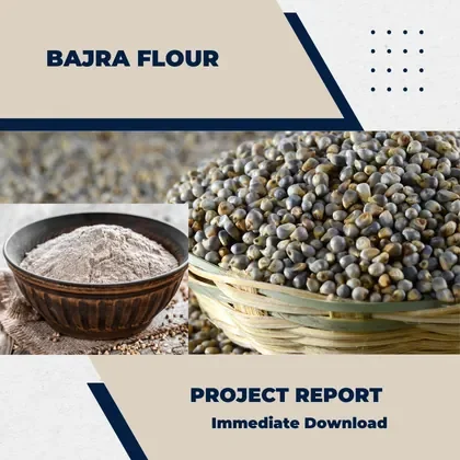 Bajra Flour Project Report
