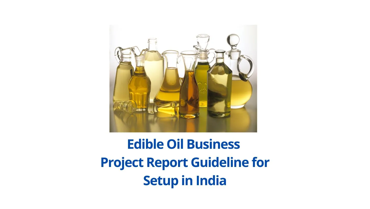 Edible Oil Business Project Report Guideline for Setup in India