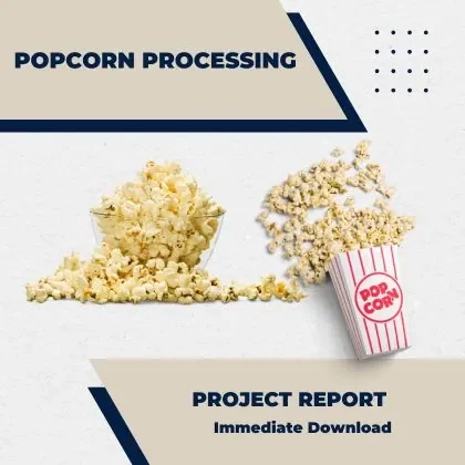 Popcorn Processing Project Report for Plant setup in India