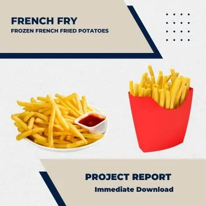 frozen french fried potatoes Project Report