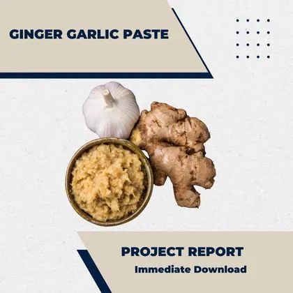 Ginger Garlic Paste Making PROJECT REPORT