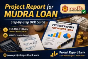 mudra loan project report format with example India