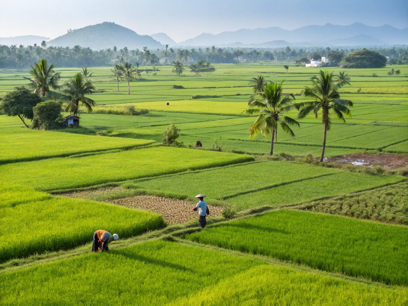 A picturesque image of a lush green agricultural field in Karnataka, showcasing crops and farming equipment, representing the agriculture industry.