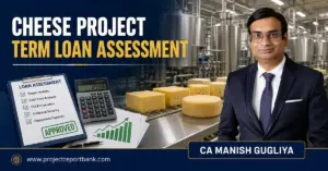 Cheese Project Term Loan Assessment by CA Manish Gugliya for ProjectReportBank.com