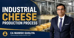 Industrial cheese production process in a modern factory with CA Manish Gugliya and ProjectReportBank.com.
