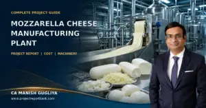 Mozzarella cheese manufacturing plant project report, cost and machinery guide by CA Manish Gugliya, featuring an industrial cheese production line.