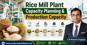 Rice mill plant capacity planning and production capacity infographic showing rice milling machinery, paddy-to-rice processing flow, TPH and TPD capacity indicators, with CA Manish Gugliya and ProjectReportBank.com.