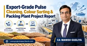 Export-Grade Pulse Cleaning, Colour Sorting & Packing Plant Project Report in India, featuring automated pulse processing machinery, export-quality pulses, and CA Manish Gugliya – ProjectReportBank.com.