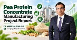 pea protein concentrate manufacturing project report Pea Protein Concentrate Manufacturing Project Report and DPR featuring pea protein processing plant, machinery, protein powder, and CA Manish Gugliya – ProjectReportBank.com.